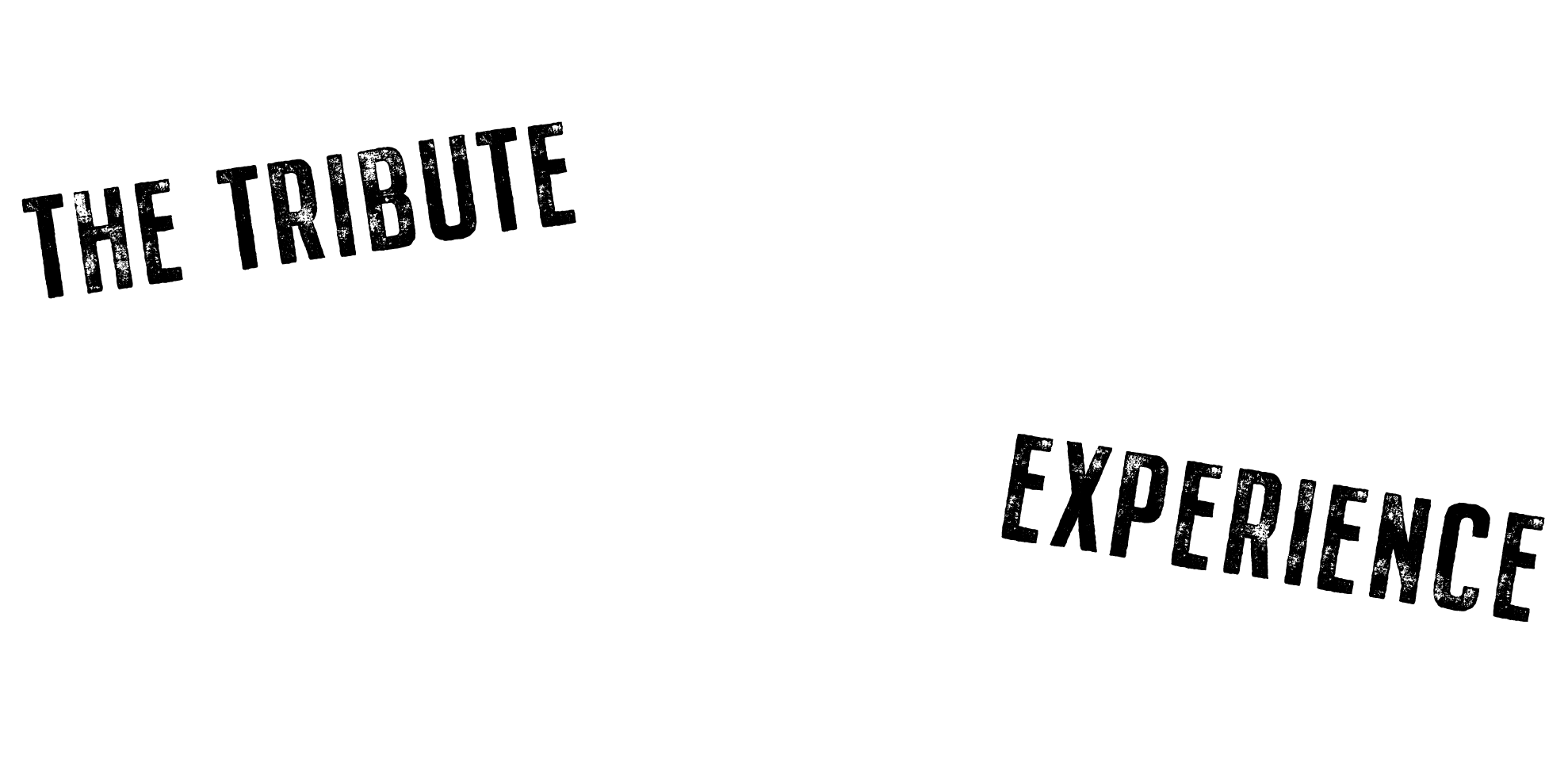 The Tribute Experience